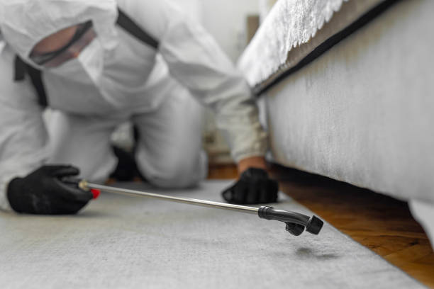 Professional Cockroach Control technician working in Rushford, MN